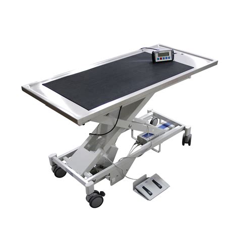 Veterinary Lift Table With Scale